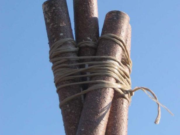 lash poles together to form cone lash poles together to form cone