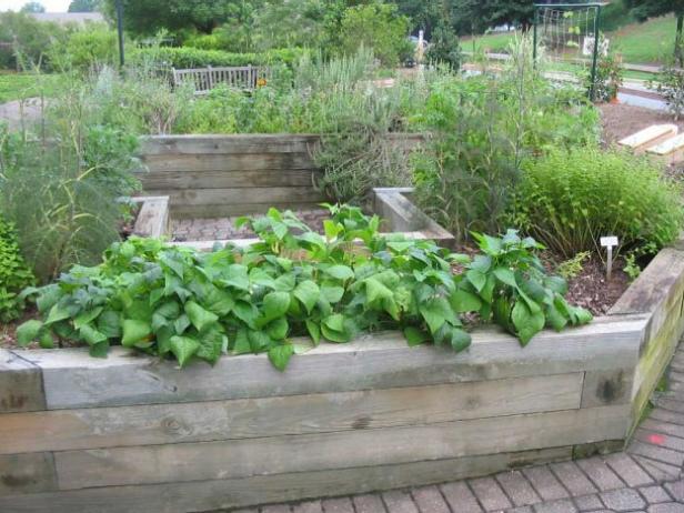raised beds are good for growing vegetables raised beds are good for growing vegetables