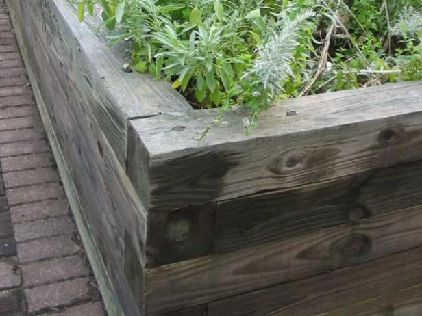 raised beds are good for many older gardeners raised beds are good for many older gardeners