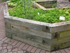 Raised Beds Used As Cat Litter Boxes Raised Beds Used As Cat Litter Boxes