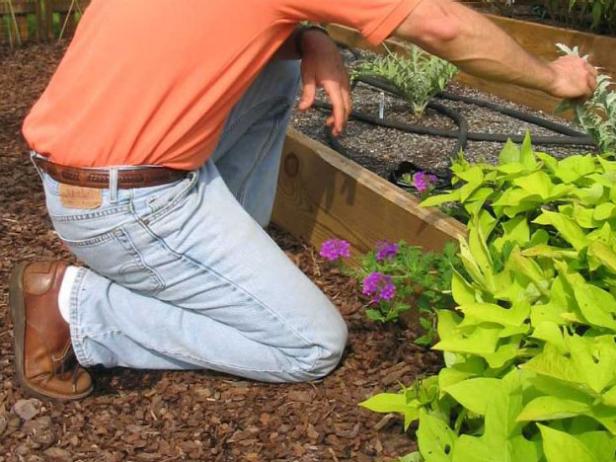 work close to the ground without injuring yourself work close to the ground without injuring yourself