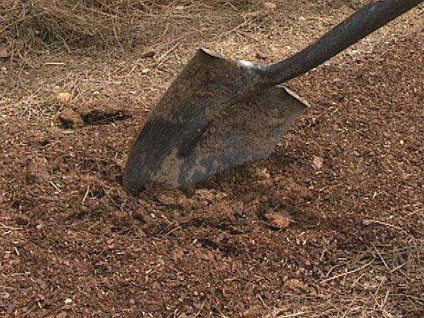 Amend the Soil Amend the Soil