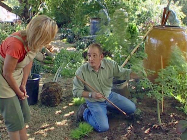 a common mistake is over staking trees a common mistake is over staking trees