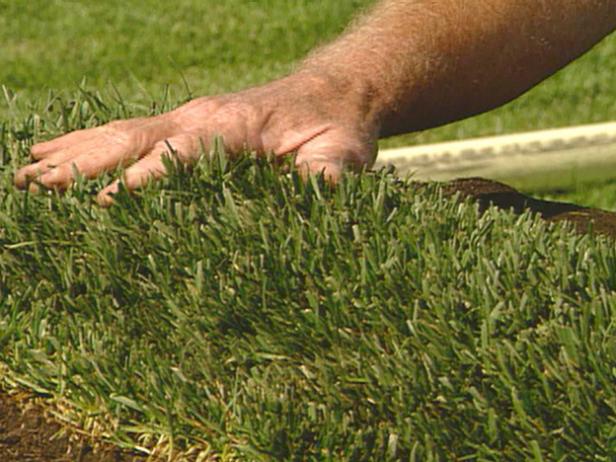 sod farming tips sod farming tips