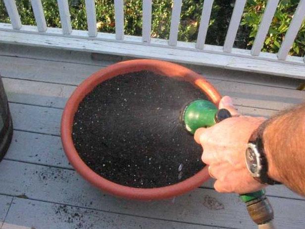 Cultivate the Seeds Cultivate the Seeds
