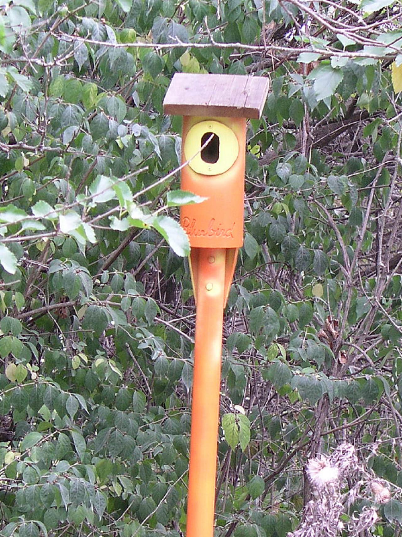 How to Build a Birdhouse with PVC Pipe DIY