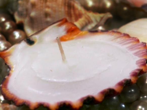 shell candles make romantic wedding favor shell candles make romantic wedding favor