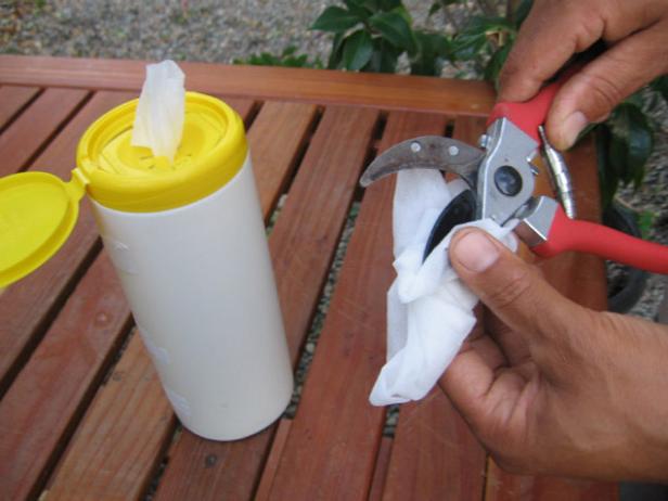 dtdo110_1fb_cleanpruners01 dtdo110_1fb_cleanpruners01