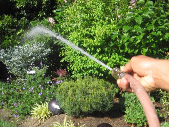 jet or pressure tip nozzle is perfect for clean up jet or pressure tip nozzle is perfect for clean up