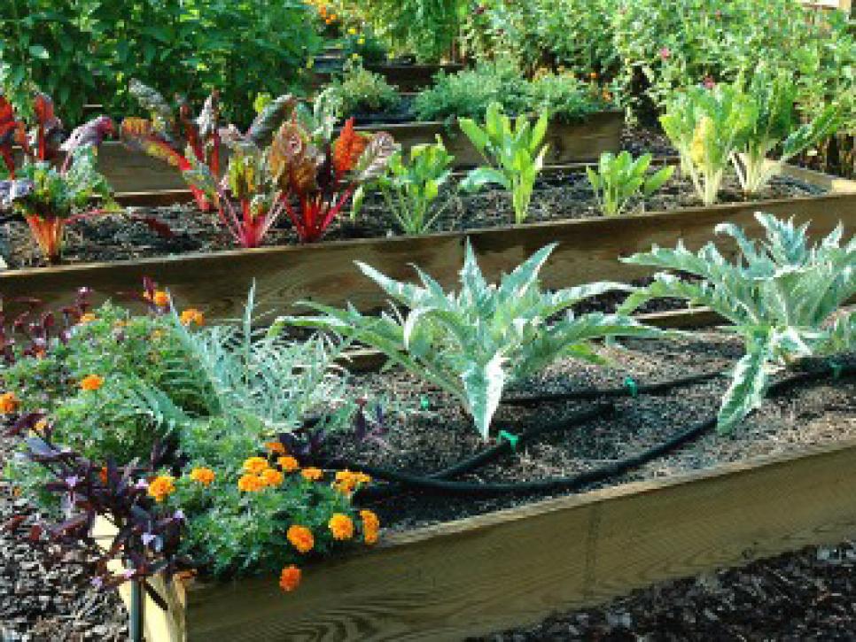 Tips for Creating Raised Bed Planters DIY