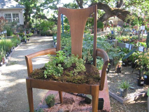 thrift store chair is unique addition to garden thrift store chair is unique addition to garden