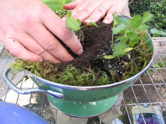 colanders have great drainage colanders have great drainage