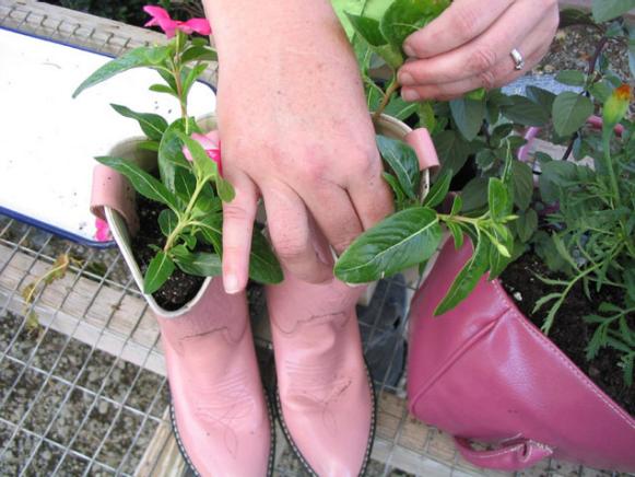 store items make whimsical planters store items make whimsical planters