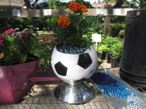 novelty planters are fun for kids novelty planters are fun for kids