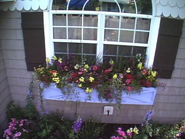 ddsl306_wndowbox-Shutters ddsl306_wndowbox-Shutters