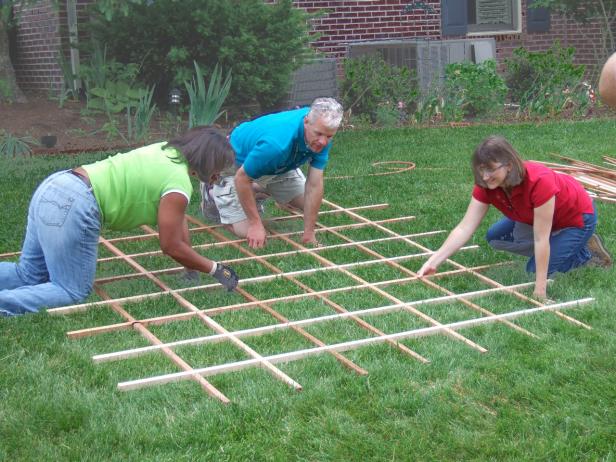 dgfi501_2fa-trellis-assemble dgfi501_2fa-trellis-assemble