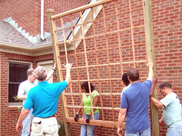 dgfi501_2fc-trellis-up dgfi501_2fc-trellis-up