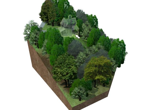 Mountain View Homesite: Topography Mountain View Homesite: Topography