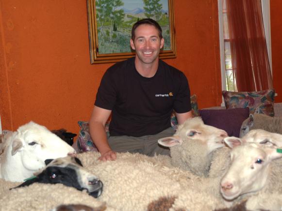 DDHS111_Josh-Temple-Sheep_s4x3 DDHS111_Josh-Temple-Sheep_s4x3