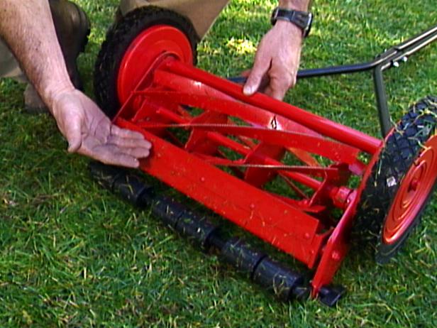 Tips for Choosing and Caring for a Lawn Mower | DIY