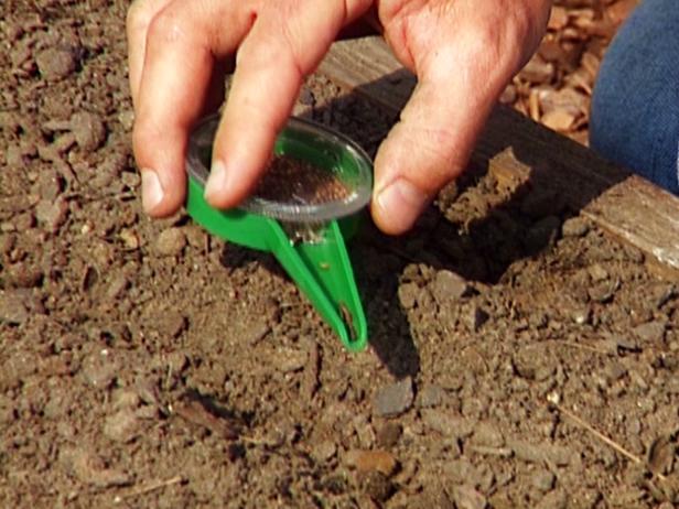 Sow Seeds, Cover with Soil, and Water Well Sow Seeds, Cover with Soil, and Water Well