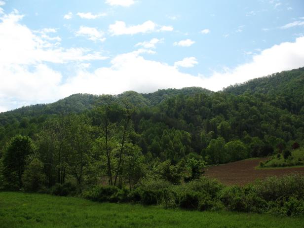 Lush Greenery Surrounds Blog Cabin 2009 Lush Farmland and Mountains Surround Lead to Blog Cabin 2009