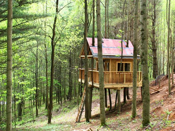 Blog Cabin 2009 Treehouse Blog Cabin 2009 Treehouse
