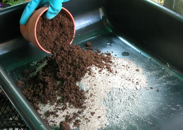 hgPG-2112035-hypertufa_1_add_dry_ingredients hgPG-2112035-hypertufa_1_add_dry_ingredients