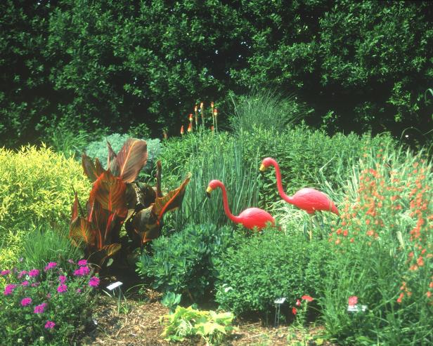 hgPG-1653715-ht_tropicanna_flamingo_sh hgPG-1653715-ht_tropicanna_flamingo_sh