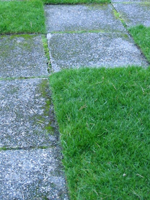 hgPG-2156655-Outdoor_checkerboard_turf hgPG-2156655-Outdoor_checkerboard_turf