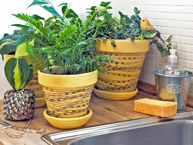 hgPG-2459798-oneil-yellow-planters hgPG-2459798-oneil-yellow-planters