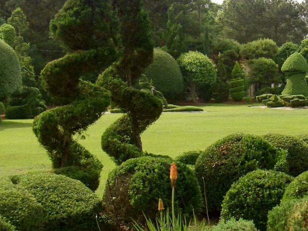 hgPG-2482917-Fryar_HD0066378B6_01_Landscaping hgPG-2482917-Fryar_HD0066378B6_01_Landscaping