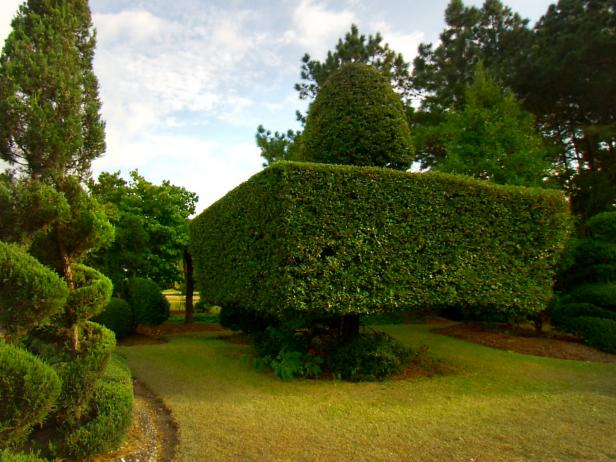hgPG-2482925-Fryar_HD0066378B3_01_Square-Tree-Sculpture hgPG-2482925-Fryar_HD0066378B3_01_Square-Tree-Sculpture