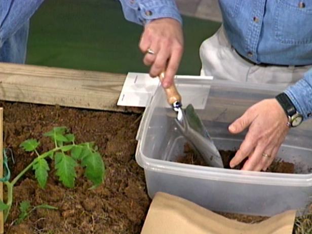 DIG147__soil-test-sample-collection_s4x3 DIG147__soil-test-sample-collection_s4x3