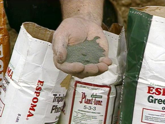 DIG147_Plant-tone-organic_s4x3 DIG147_Plant-tone-organic_s4x3