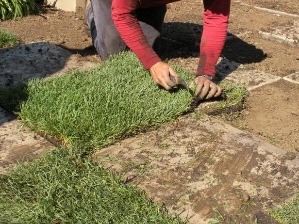 Use a sod knife to cut off the excess so it fits into the square. Push the sod into the soil below so it makes contact. Water the sod often until it's established and wait to mow it until it doesn't pull up when you tug at it. To blend this patio in with the landscape, install the lower-maintenance sod all around the new patio.
