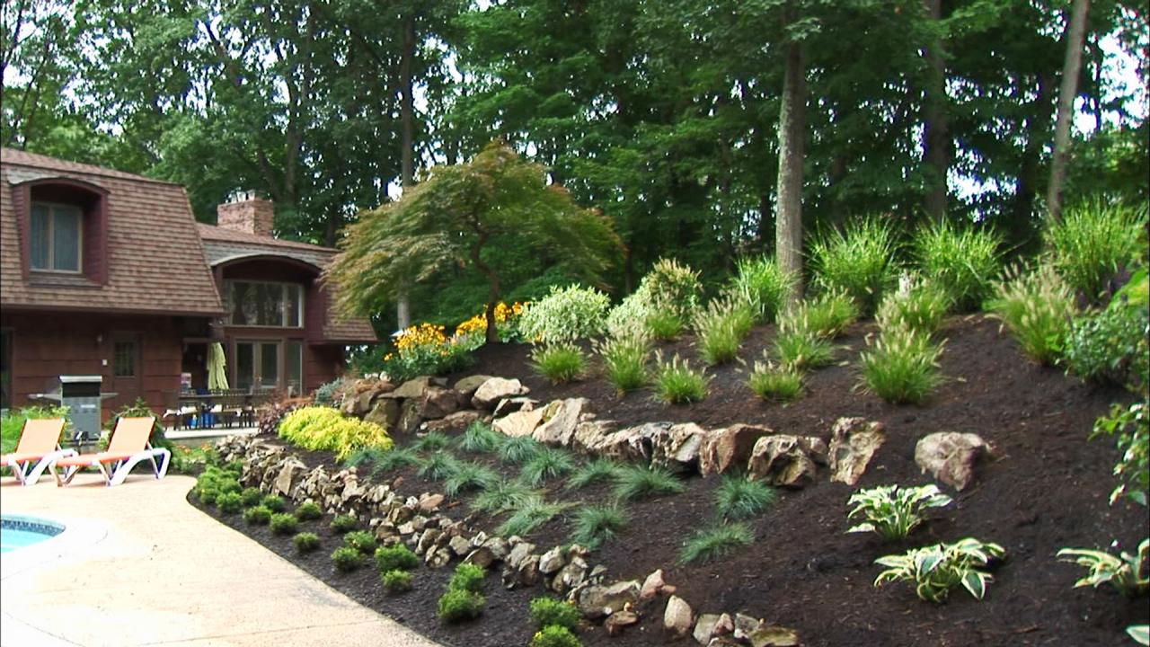 Rock Landscaping Ideas | DIY