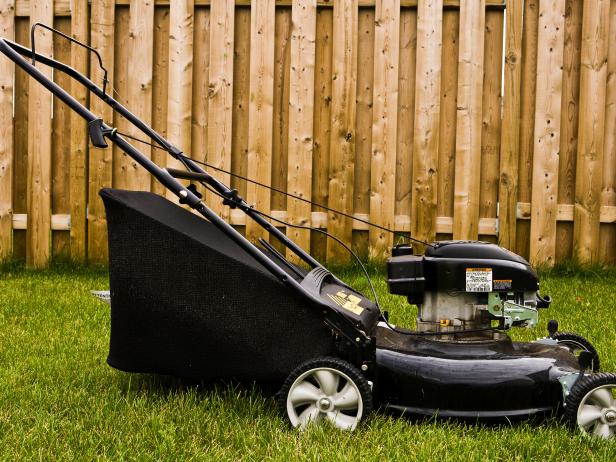 Lawnmower by fence Lawnmower by fence