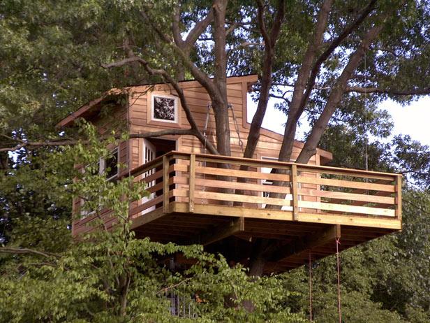 Treehouse Treehouse