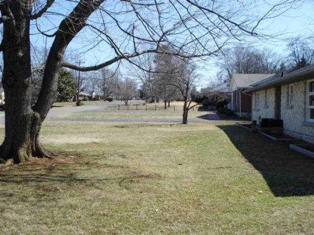 amdl10_ww4-front-yard-tree-kirby_s4x3 amdl10_ww4-front-yard-tree-kirby_s4x3
