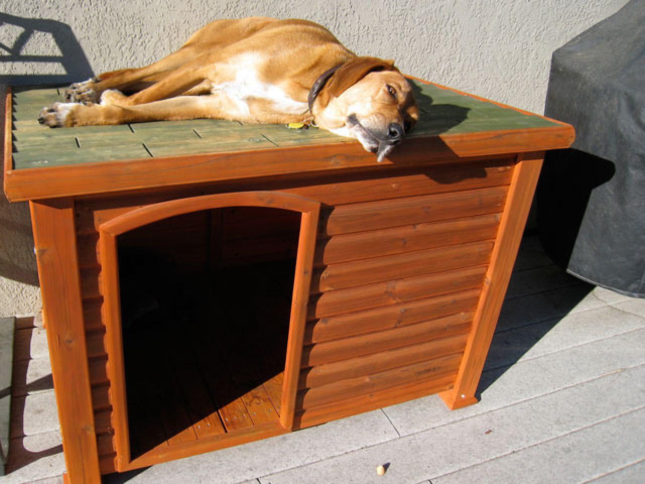 27 Innovative Doghouse Designs  DIY Shed, Pergola, Fence, Deck &amp; More 