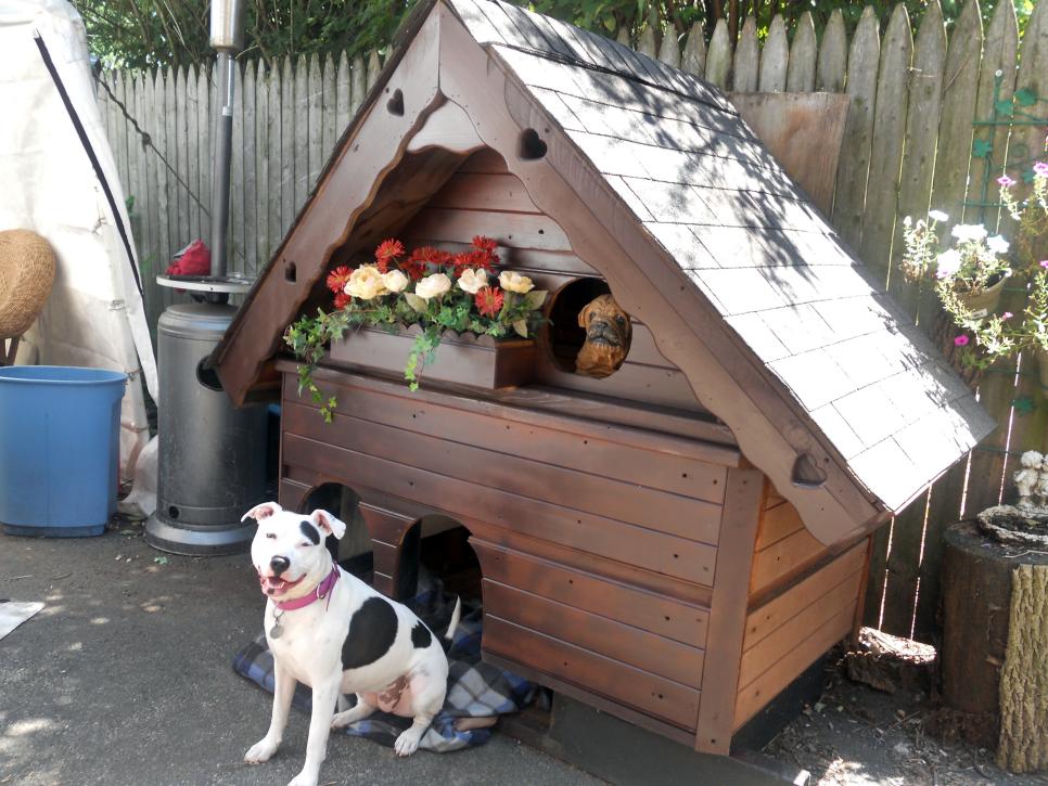 Meet The Winners Of The Best Doggone Doghouse Contest Diy