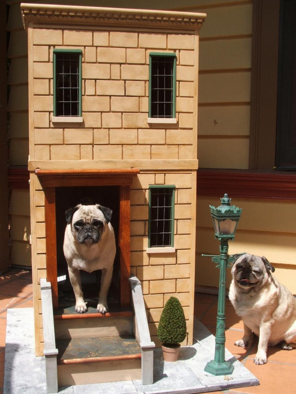 luxury dog house
