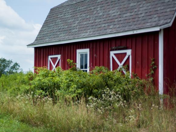 Blog Cabin 2010 Red Barn Blog Cabin 2010 Red Barn