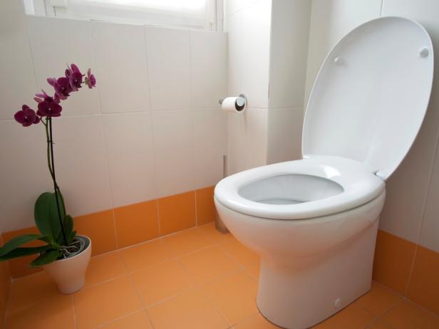How to Remove and Replace a Toilet How to Remove and Replace a Toilet