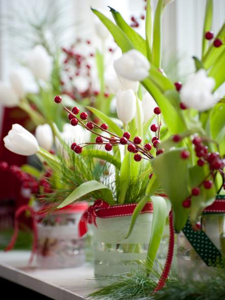 Winter White Tulips