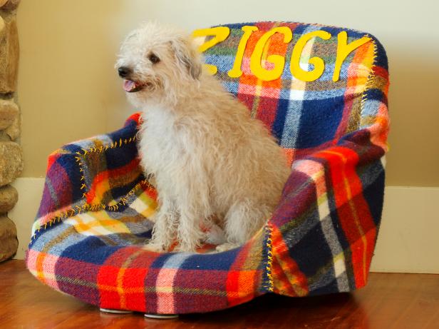 CI-SusanTeare_Office-Chair-Turned-Dog-Bed_s4x3 CI-SusanTeare_Office-Chair-Turned-Dog-Bed_s4x3
