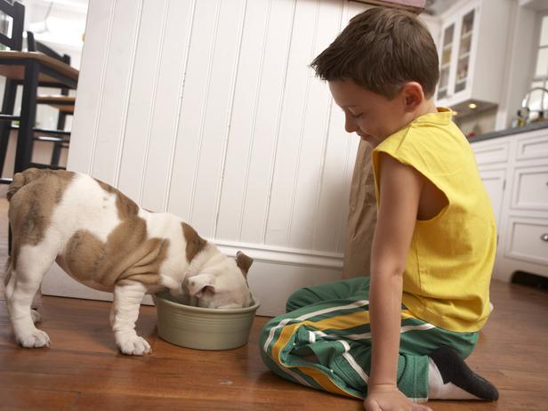 TS-200455394-001_Boy-watching-dog-eat_s4x3 TS-200455394-001_Boy-watching-dog-eat_s4x3