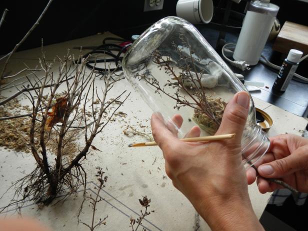 Original-Halloween-Terrarium-Cut-branches-to-size_s4x3 Original-Halloween-Terrarium-Cut-branches-to-size_s4x3