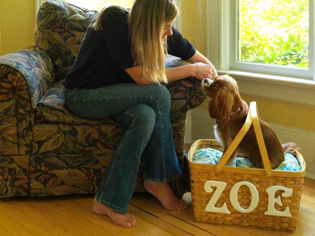 CI-Susan-Teare_Dog-Basket-without-cover_s4x3 CI-Susan-Teare_Dog-Basket-without-cover_s4x3